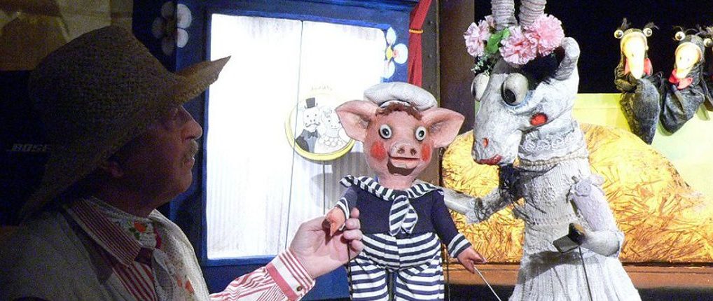 top-pohadka-o-potrhle-koze-roze