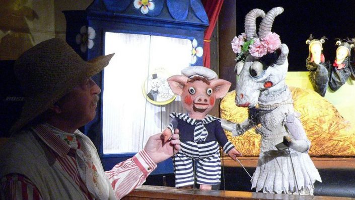 top-pohadka-o-potrhle-koze-roze